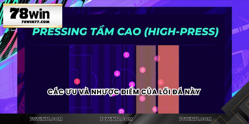Các ưu và nhược điểm của lối đá này 
