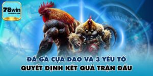 Đá Gà Cựa Dao Và 3 Yếu Tố Quyết Định Kết Quả Trận Đấu