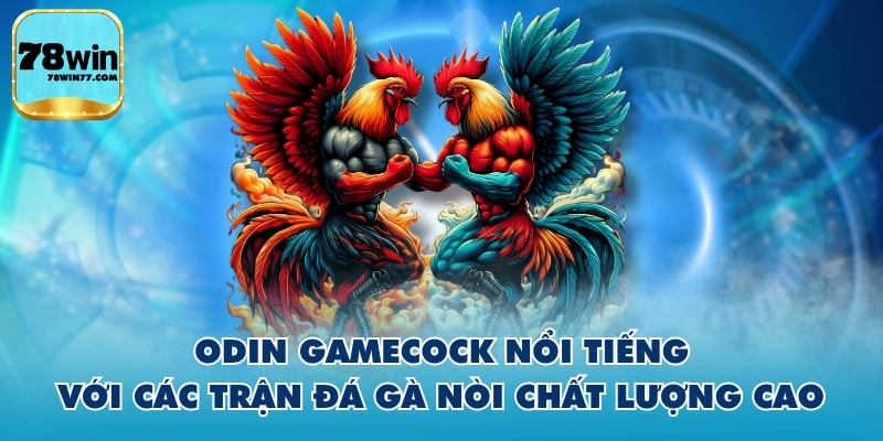 Odin Gamecock nổi tiếng với các trận đá gà nòi chất lượng cao
